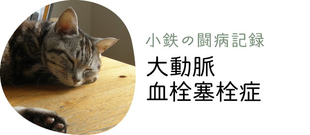 小鉄の闘病記録「大動脈血栓塞栓症」