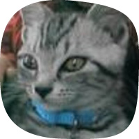 こまちのアイコン